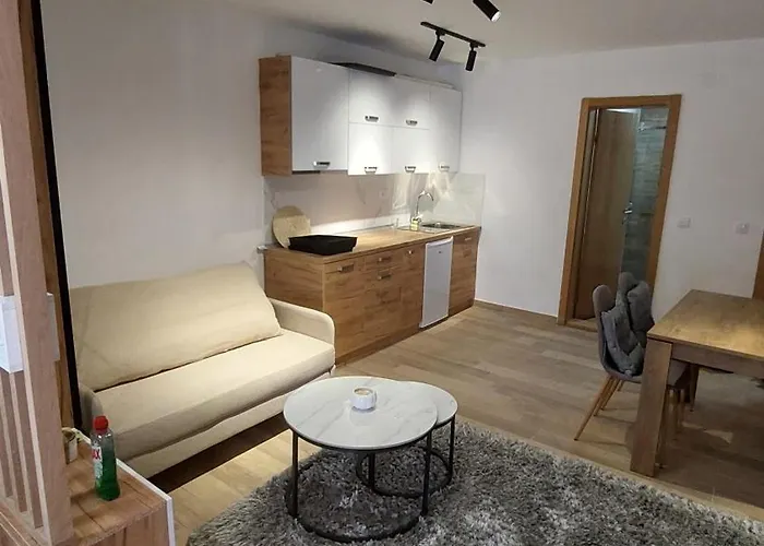 Appartement Mecavnik *